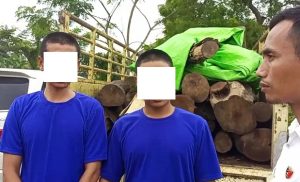 Dua tersangka pelaku beserta barang bukti truk dan kayu sonokeling hasil curian, diamankan pihak Polres Rembang.