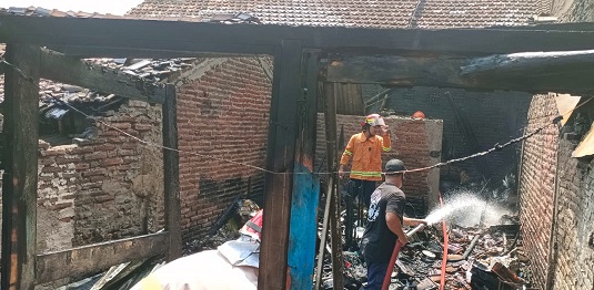 Si Jago Merah Mengamuk, Lalap Sebuah Rumah di Sumberjo