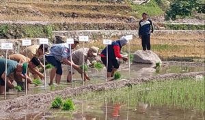Aktivitas pertanian organik di Desa Trenggulunan Kecamatan Pancur, saat ada kunjungan dari Dinas Pertanian Dan Pangan, baru-baru ini.
