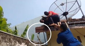 Petugas Damkar Pemkab Rembang mengevakuasi ular di atap rumah warga Kelurahan Leteh. (Foto atas) Evakuasi ular masuk kamar di rumah warga Desa Kabongan Kidul, baru-baru ini.