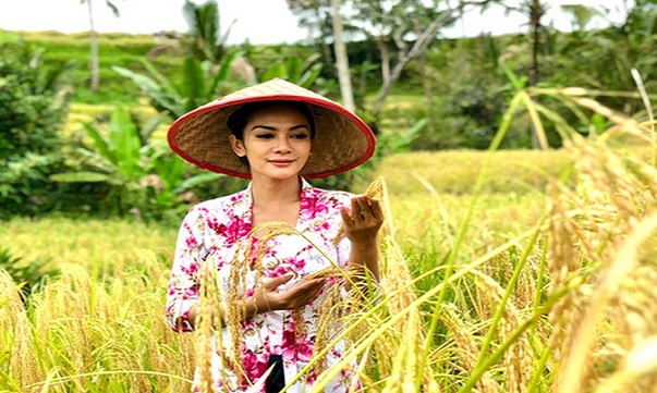 Tahun 2023 Kab. Rembang Surplus Beras, Berapa Angkanya ??