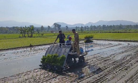 Ratusan Hektar Padi Kekeringan, Bantuan Jenis Ini Digelontor Ke Petani Rembang