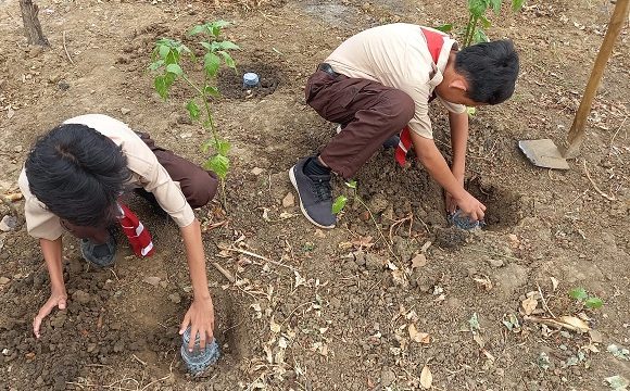Tanam Benih Organik Ditutup Cup Minuman, Ohh…Ternyata Ini Fungsinya