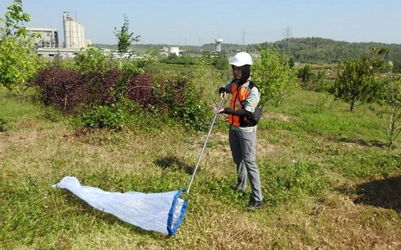 Reklamasi Pasca Tambang, Spesies Flora Fauna Terdeteksi Meningkat