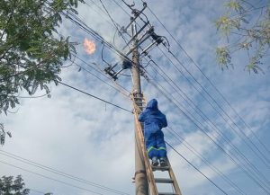 Petugas Damkar Rembang melakukan giat operasi tangkap tawon (OTT) di Desa Bendo Kecamatan Sluke, Selasa (04/05).