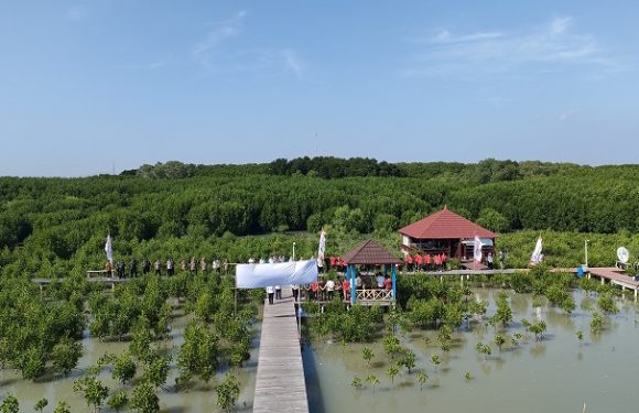 Alfamart Pertebal Hutan Bakau, Bupati Rembang Dambakan Go International