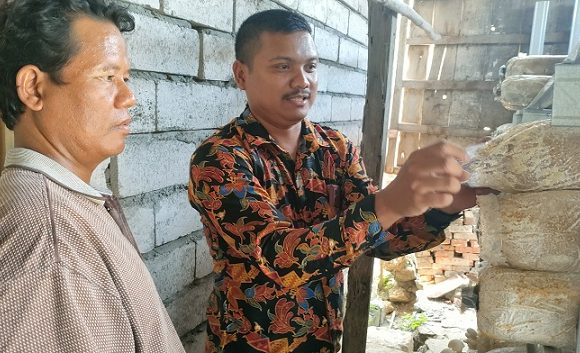 Pasokan Kurang, Peluang Pasar Jamur Masih Sangat Terbuka