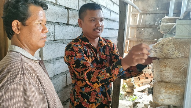 Pasokan Kurang, Peluang Pasar Jamur Masih Sangat Terbuka