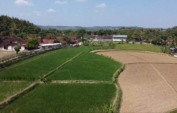 Petani Was-Was, Berharap Banyak Dari Waduk Randugunting Kalinanas
