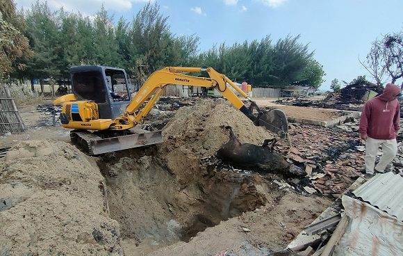 Bangkai Sapi Dan Ayam Dikubur Massal, Belasan Sapi Selamat Usai Dipotong Tali Tambatannya