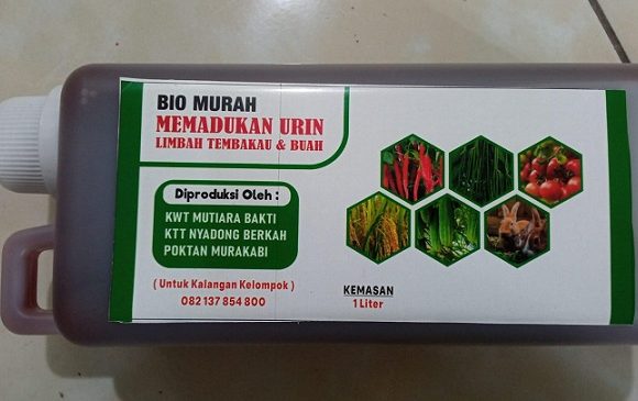 Air Kencing Kelinci Dan Limbah Batang Tembakau, Diolah Menjadi Produk Inovatif