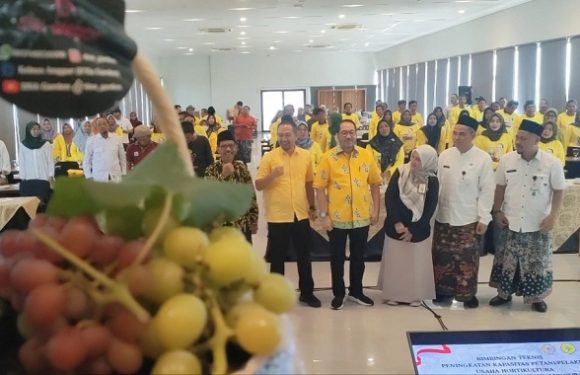 Impor Anggur Masih Tinggi, Peluang Lokal Terbuka Lebar