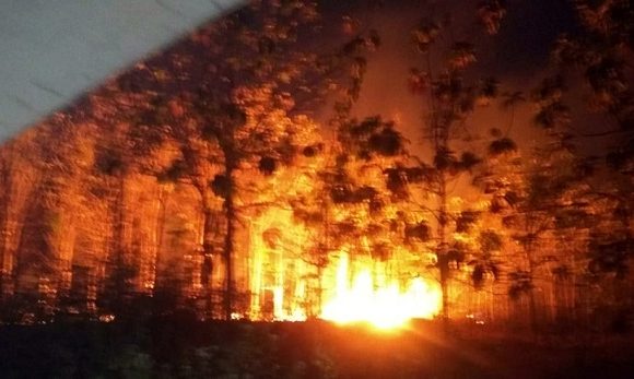 Kebakaran Hutan Semakin Rawan, Warga Siaga Dengan Kenthongan
