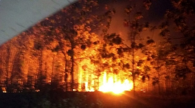 Kebakaran Hutan Semakin Rawan, Warga Siaga Dengan Kenthongan