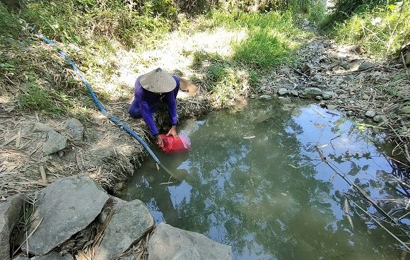 Ambil Air Minum Ke Balik Bukit, Minum Ternak Andalkan Sisa Di Jomblang (Sisi Lain Lemahputih)