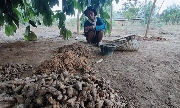 Dua Masalah Yang Membuat Was-Was Kartini, Kondisi Terkini Wanita Hidup Sendirian Di Hutan