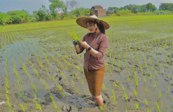 Hasil Panen Meningkat, Pupuk Indonesia Beberkan Sistem Pemupukan Berimbang