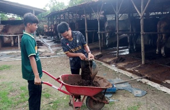 Siswa Menginap Ke Rumah Warga, Ikuti Aktivitas Harian!! Santri Khidmah SMP IT Al Kahfi Rembang