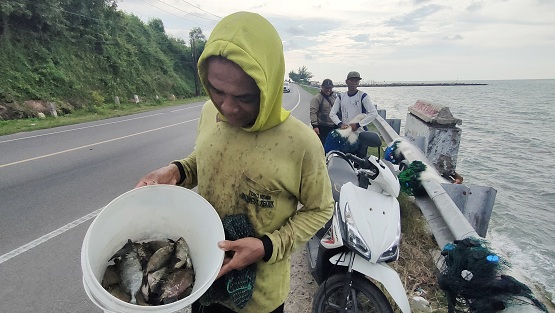 Ikan Sadar Yang Bisa Bikin Nggak Sadar, Para Penjaring Ramai Berdatangan Ke Pantai Manggar