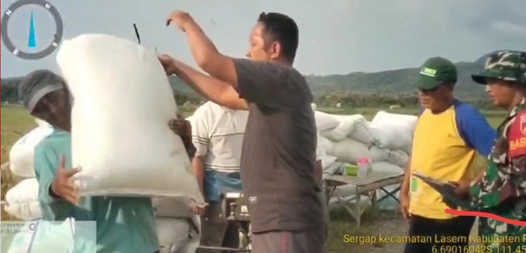 Tiga Kecamatan Paling Dominan, Masa Tanam Padi Ke-3 Di Kabupaten Rembang