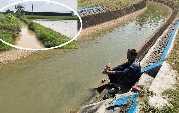Jadi Ingat Zaman Pak Harto, Petani Siap Tanam Padi Ketiga