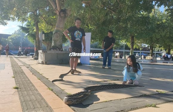 Kisah Dio Bagas Sumoro Hidup Bersama Belasan Ular, Apakah Ada Karakter Menyerang ??