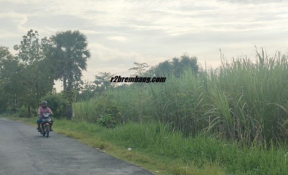 Dulu Pernah Digugat Ke Pengadilan, Pihak Desa Kaliombo Ungkap Status Lahan Untuk Sekolah Rakyat Rembang