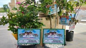 Contoh ucapan (greeting) menggunakan bibit tanaman buah. (Sumber: google).