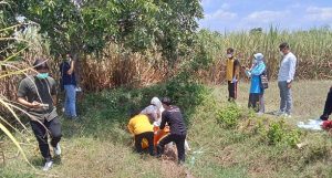 Polisi dan warga mengevakuasi mayat korban di area dekat lahan tebu, turut tanah Desa Kasreman Rembang, Jum’at (12/09).