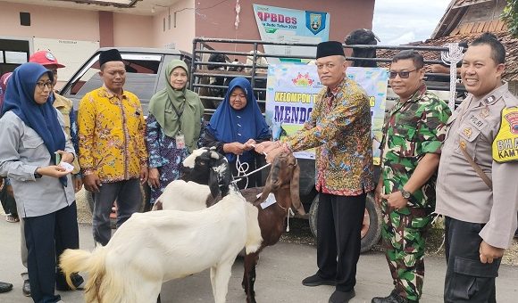 Diawali Mengambil Nomor Undian, Baznas Rembang Bagikan 20 Ekor Kambing Untuk Warga Sudo