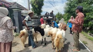 Penyaluran bantuan ternak kambing dari Baznas Kabupaten Rembang kepada warga Desa Bitingan Kecamatan Sale, hari Rabu (10 Desember 2025).