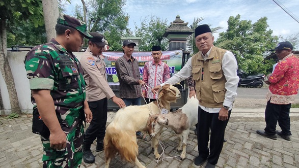 Survei Ketat Dan Tanda Tangan Tanggung Jawab Mutlak, Bantuan Kambing Dari Baznas Rembang Kepada Warga Bitingan