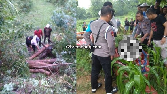 Ojek Angkut Kayu Meninggal Dunia, Polisi Ungkap Kondisi Jalur (TKP Desa Pacing Kec. Sedan)