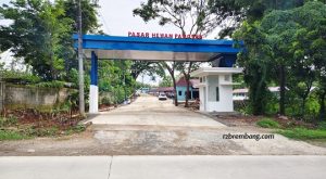 Pasar Hewan Pamotan yang baru di pinggir jalan raya Pamotan - Sedan.