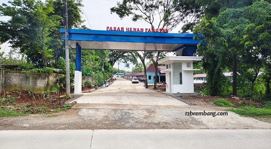 Dicek BPK Dulu, Baru Mencari Hari (Bupati Singgung Anggaran “Iwak Pitik” Untuk Pasar Hewan Pamotan)