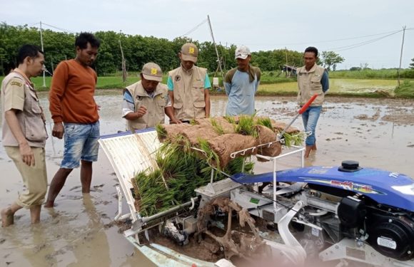 Brigade Pangan Turun Tangan, Petani Bisa Lakukan Penghematan