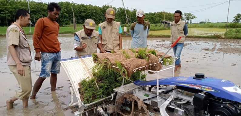 Brigade Pangan Turun Tangan, Petani Bisa Lakukan Penghematan