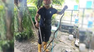 Petugas Damkar Pemkab Rembang mengamankan ular di kawasan permukiman, belum lama ini.