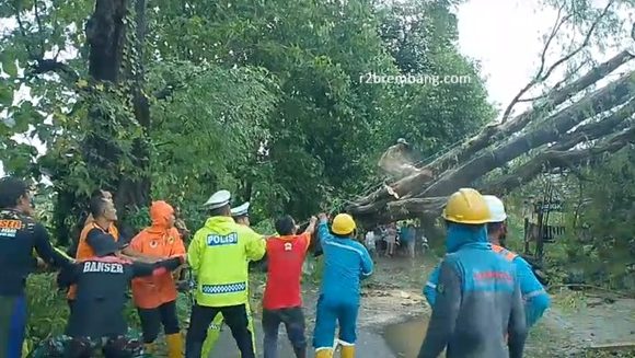 Jalur Pamotan – Gunem Tertutup, Pohon Asam Tumbang Menimpa Rumah Warga
