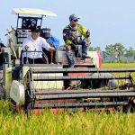 Bupati Rembang, Harno bersama Kepala Dintanpan, Agus Iwan Haswanto melakukan panen raya padi di Desa Mojorembun, Kecamatan Kaliori, Kamis (12/02).