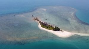 Pulau Gede di sebelah utara Pantai Pasir Putih Wates Desa Tasikharjo, Kecaatan Kaliori.