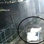 Pelaku mengangkut pisang curian, dengan menggunakan becak, Kamis dini hari.