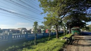 Pangkalan truk Sendangasri, Kecamatan Lasem penuh, sehingga beberapa truk terpaksa harus parkir di luar pangkalan.