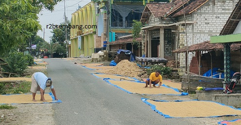 Harga Beras Masih Tinggi Di Tengah Panen Raya, Adakah Permainan ??