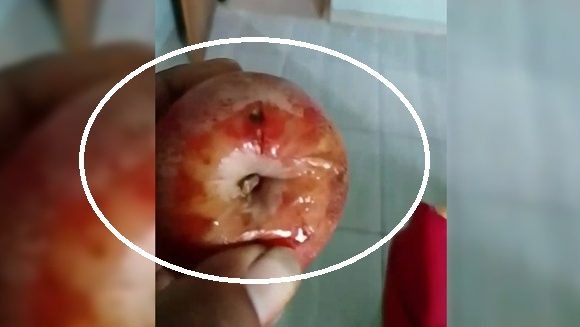 Orang Tua Soroti Buah MBG Busuk, Tidak Dimakan Dan Dibuang !! Korwil SPPI Langsung Konfirmasi SPPG Sumber