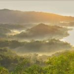 Kawasan hutan perbukitan di Desa Candimulyo, Kecamatan Sedan yang menjadi lokasi pelarian terduga pelaku pencuri mesin traktor.