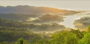 Kawasan hutan perbukitan di Desa Candimulyo, Kecamatan Sedan yang menjadi lokasi pelarian terduga pelaku pencuri mesin traktor.