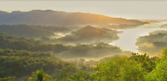 Dari Monyet Hingga Harimau, Kondisi Hutan Candimulyo Cukup Lebat (Lokasi Pelarian Pelaku Pencuri)
