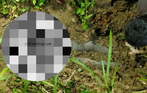 Inilah Identitas Korban, Sempat Dikabarkan Hilang (Temuan Mayat Di Desa Gandrirojo)