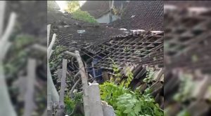 Rumah ambruk tertimpa pohon tumbang di Desa Sumberjo, Rembang.